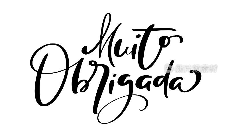 Muito Obrigada手写文字。非常感谢你用葡萄牙语说的。墨水插图。现代毛笔书法。孤立在白色背景上。明信片上的感恩话语